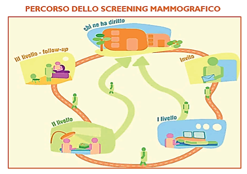 percorso dello screening mammografico